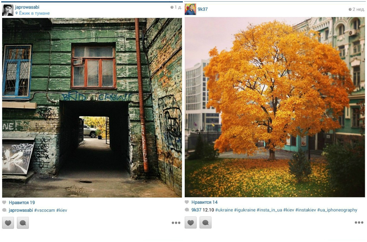 collage13