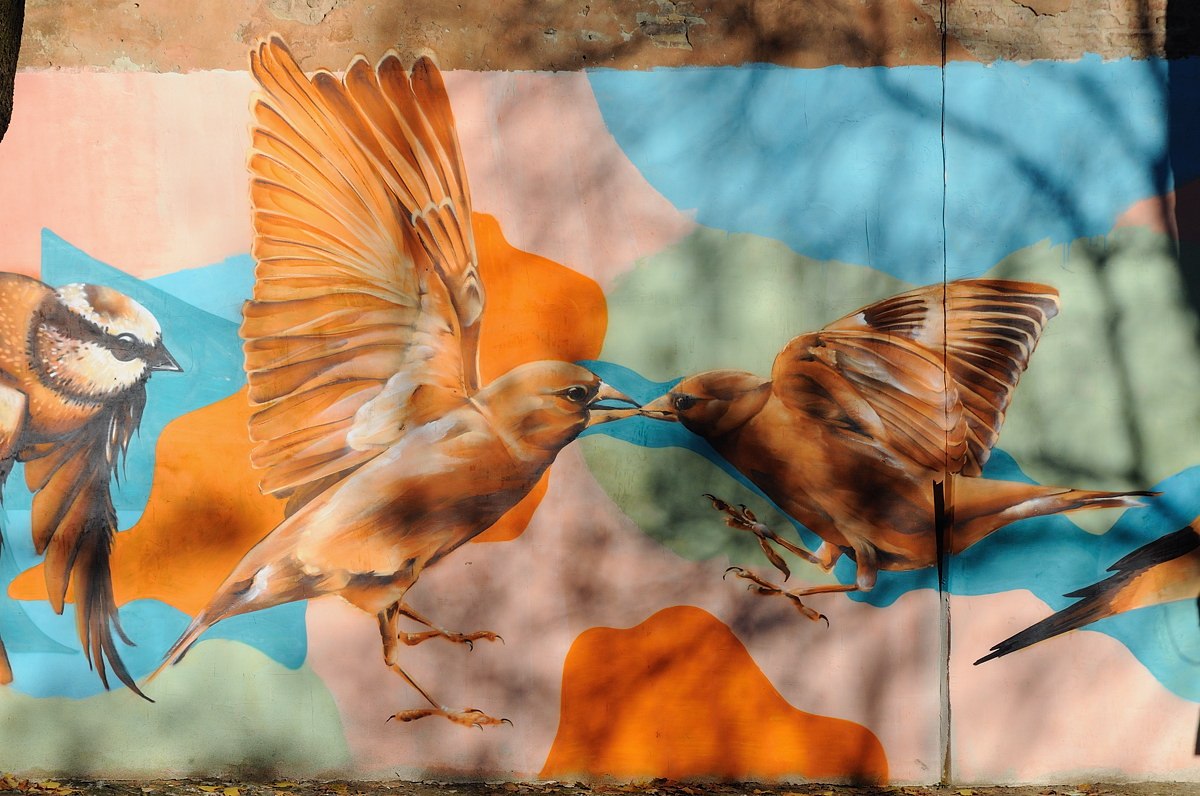20 things to do in Lvov