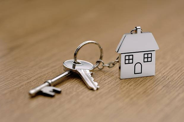 Daily rental business: The other side. The interview with the owner