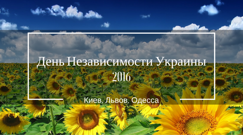 День Независимости Украины. События в Киеве, Львове, Одессе