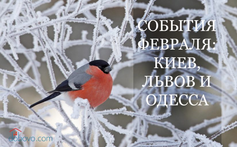 События февраля: куда пойти в Киеве, Львове и Одессе