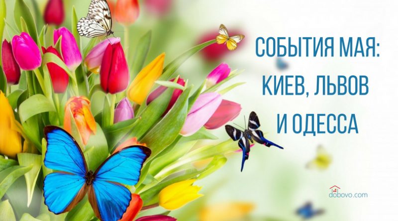 События мая: куда пойти в Киеве, Львове и Одессе