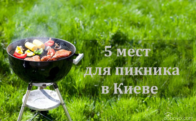 Время привала: 5 мест для пикника в Киеве