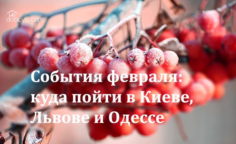 События февраля: куда пойти в Киеве, Львове и Одессе