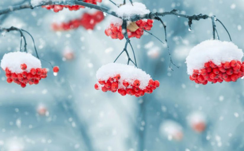 Winter fun without snow